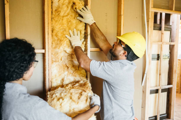 Best Home Insulation Services  in Rion Center, MA