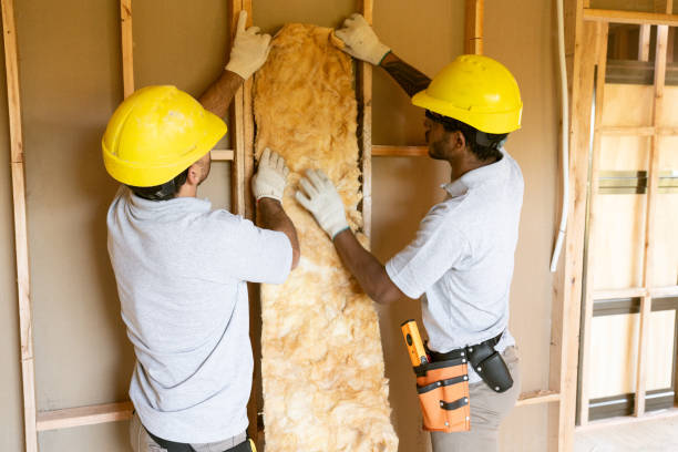 Best Insulation for New Construction  in Rion Center, MA